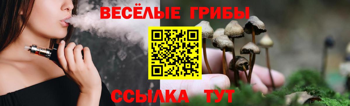 Галлюциногенные грибы мицелий  Вход с VPN  Белогорск 